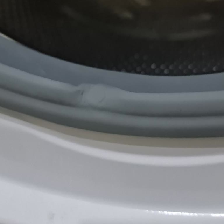 Yeni Alınan Çamaşır Makinesinde Su Sızıntısı Ve Yüksek Servis Ücreti Mağduriyeti