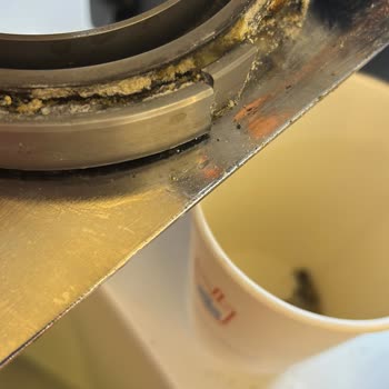 Boble Bubble Tea Emaar Square'de Hijyen Sorunu Ve Böcek Problemi