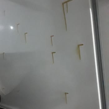 Y*** A***** Buzdolabında Boya Atması Ve Servis Sorunu