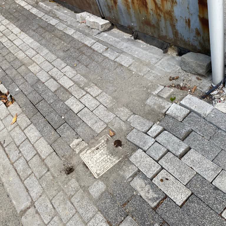 Apartman Önündeki Parke Taşlarının Düzgün Yerleştirilmemesi Nedeniyle Yaşanan Rahatsızlık