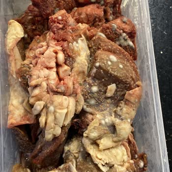 Sürekli Arızalanan Derin Dondurucu İçin Ürün Değişimi Talebim Var