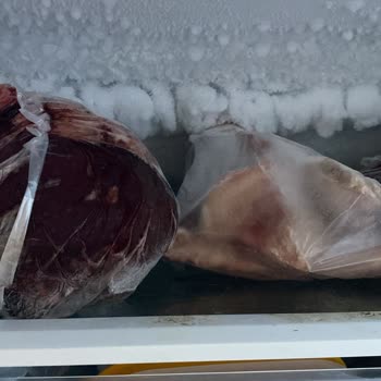 Sürekli Arızalanan Derin Dondurucu İçin Ürün Değişimi Talebim Var