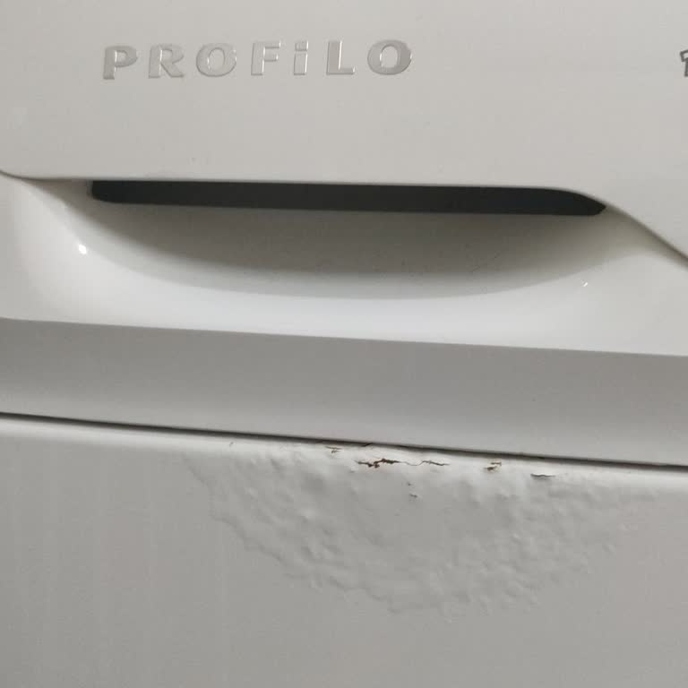 Çamaşır Makinesinde Paslanma Ve Garanti Kapsamı Mağduriyeti