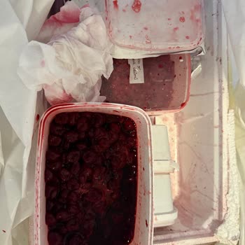 Egeden Kadın Dayanışması Ürünler Bozuk Çıktı