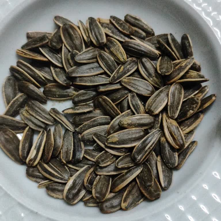 Çitlekçi Çekirdeklerinde Kalite Düşüşü Ve Çözüm Eksikliği