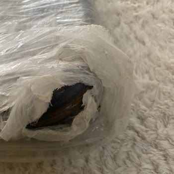 Hasarlı Ürün, Yetersiz Paketleme Ve İade Sürecinde Destek Eksikliği