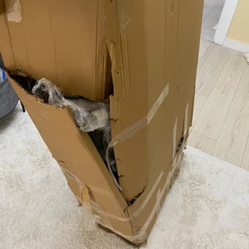 Hasarlı Ürün, Yetersiz Paketleme Ve İade Sürecinde Destek Eksikliği