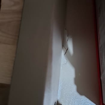 Samimi Nakliyat Hizmet Memnuniyetsizliği