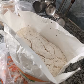 Aldığım Unun İçinden Böcek Ve Kurt Çıktı, İade Konusunda Yardım Bekliyorum