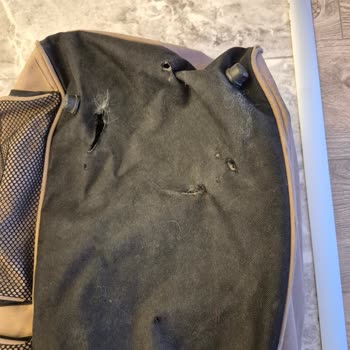 Bagaj Hasarı Sonrası Mağduriyetimin Giderilmemesi Beni Üzdü