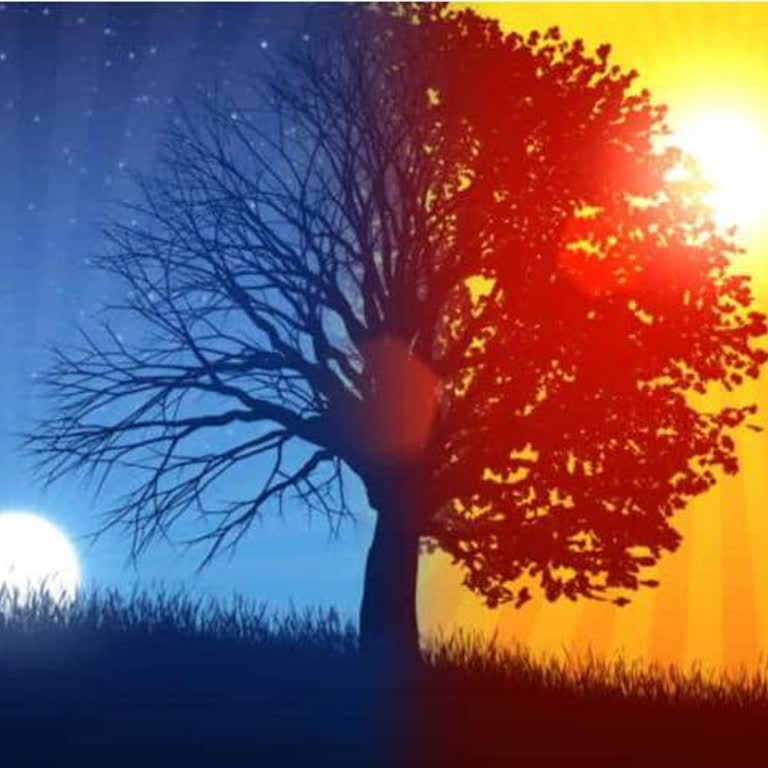 PKXD Oyununa Sürekli Bağlantı Sorunu Ve Hesaba Erişememe