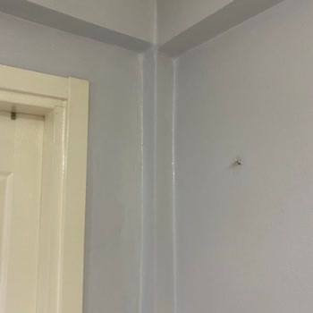 Katalog Rengiyle Alakasız Boya: Evim Lila Oldu!