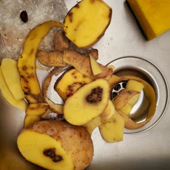 Migros Sanal Marketten Çürük Patates Teslimatı Ve Müşteri Hizmetlerinde İlgisizlik