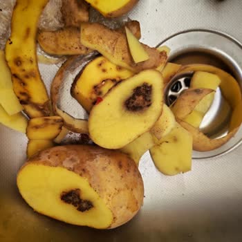 Migros Sanal Marketten Çürük Patates Teslimatı Ve Müşteri Hizmetlerinde İlgisizlik