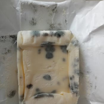 Son Kullanma Tarihi Geçmemiş Tereyağında Küf Ve İlgisiz Müşteri Hizmeti