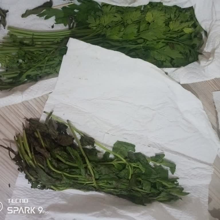 Buzdolabında Yiyeceklerin Hızla Bozulması Sorunu