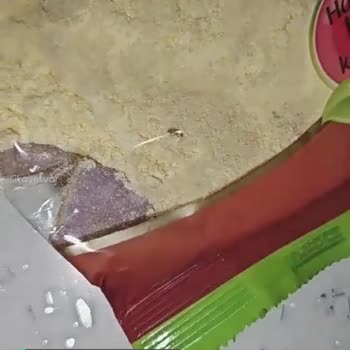 Bağdat Mısır Ununda Yabancı Madde!