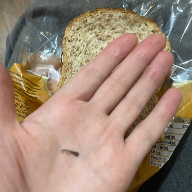 Kepekli Ekmekte Saman Benzeri Yabancı Madde Şoku!