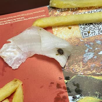 Burger King Whopper Menüde Böcek Çıkması Ve Mağduriyet