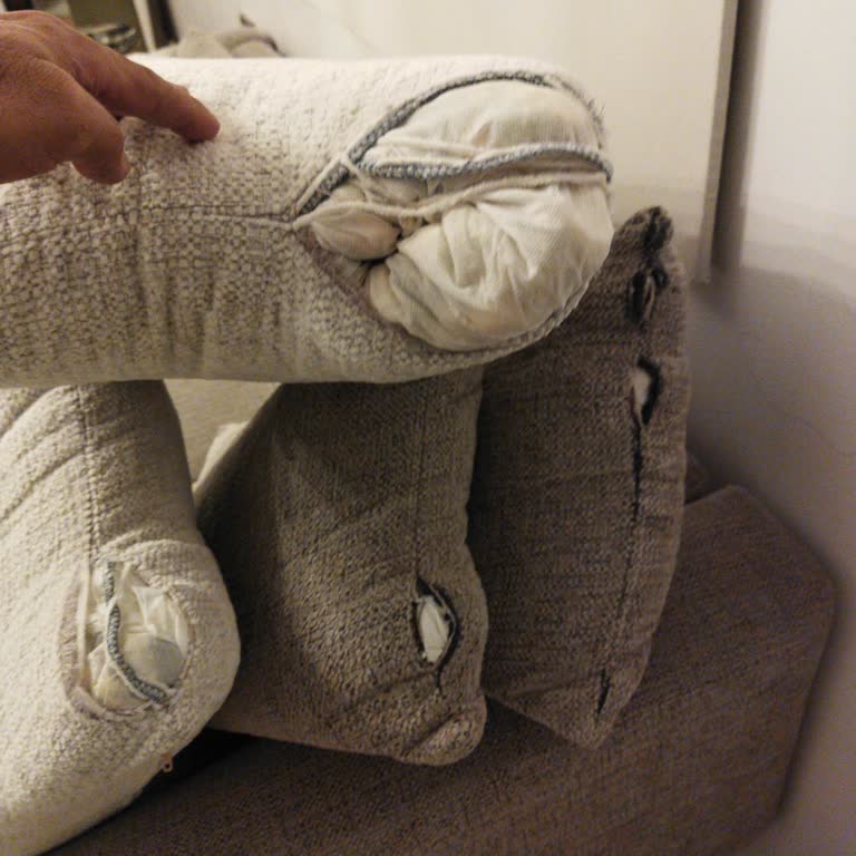 Yeni Alınan Koltuk Takımında 15 Günde Yırtılma Ve İlgisiz Mağaza