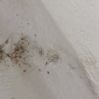 Sıfır Aldığım Bulaşık Makinesi Kullanılmış Ve Hasarlı Şekilde Teslim Edildi