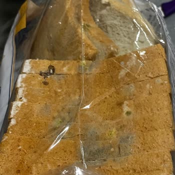 Metro Grossmarket Satın Aldığım Tost Ekmeği Son Kullanma Tarihinden Önce Küflendi