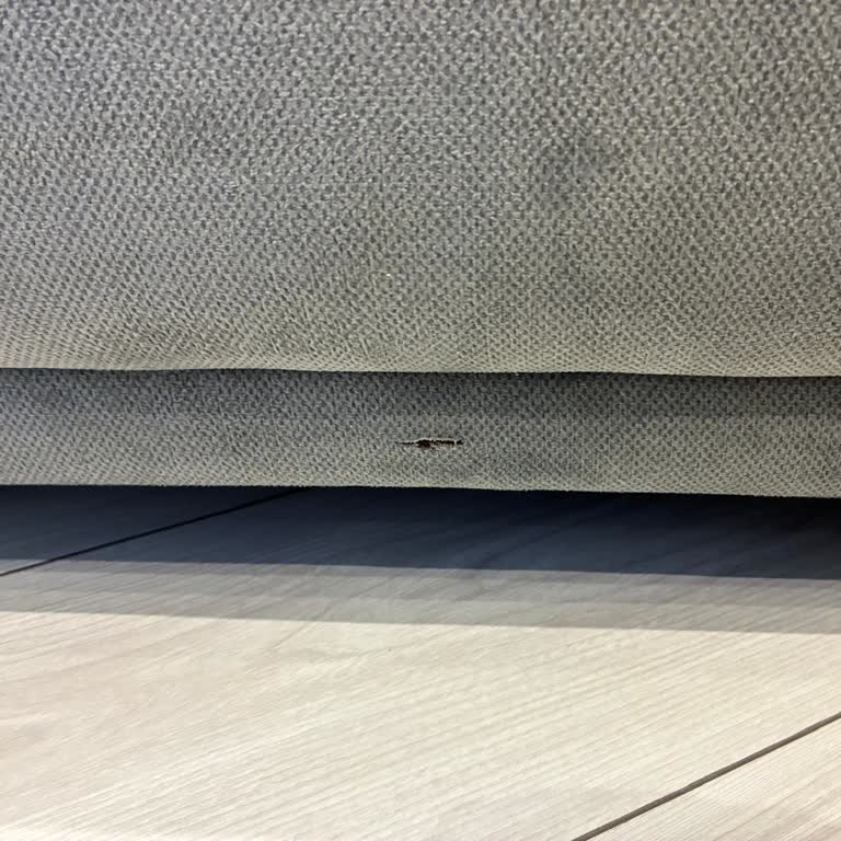 İki Kez Yırtık Koltuk Teslimatı Ve Ücret İadesi Talebi