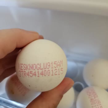 Keskinoğlu Yumurta Paketinde Bozuk Ürünle Karşılaştım, İade Veya Değişim Talep Ediyorum