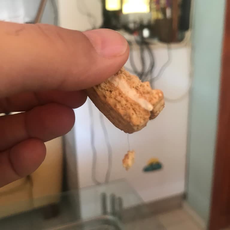 Bisküviden Saç Çıktı, Eti'den Geri Dönüş Alamadım