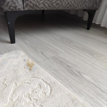 Kelebek Mobilya'dan Aldığım Koltuk Takımı Kısa Sürede Deforme Oldu, Servis Ve Müşteri Hizmetlerinden Memnun Kalmadım