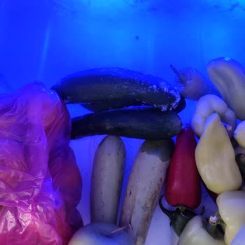 Aldığım Arçelik Buzdolabı Sebzeleri Donduruyor, Değişim Talebim Reddedildi