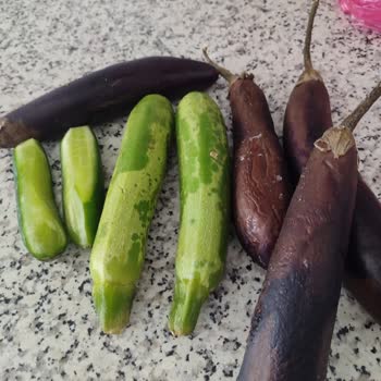 Aldığım Arçelik Buzdolabı Sebzeleri Donduruyor, Değişim Talebim Reddedildi