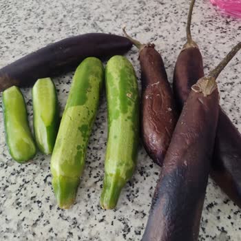 Aldığım Arçelik Buzdolabı Sebzeleri Donduruyor, Değişim Talebim Reddedildi