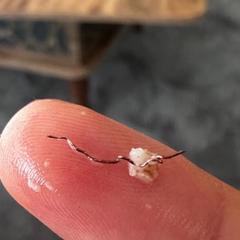 Nesfit Kakaolu Ürünün İçinden Tel Çıkması Nedeniyle Güven Kaybı Ve Sağlık Riski