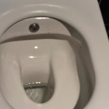 Coffy Kordon Şubesinde Tuvalet Hijyeni Büyük Sorun Yaratıyor