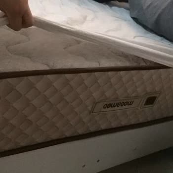 Ekstra Ücretle Satın Alınan Ortopedik Yatak Rahatsız Ve Beklentileri Karşılamıyor