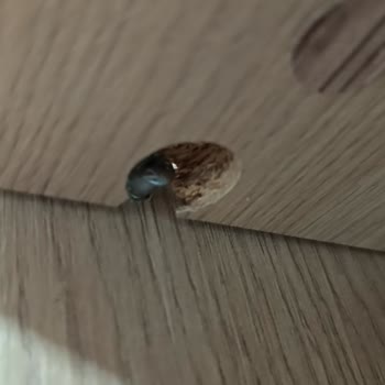 Eksik Ve Hasarlı Ürünlerle Mağduriyetim Artıyor