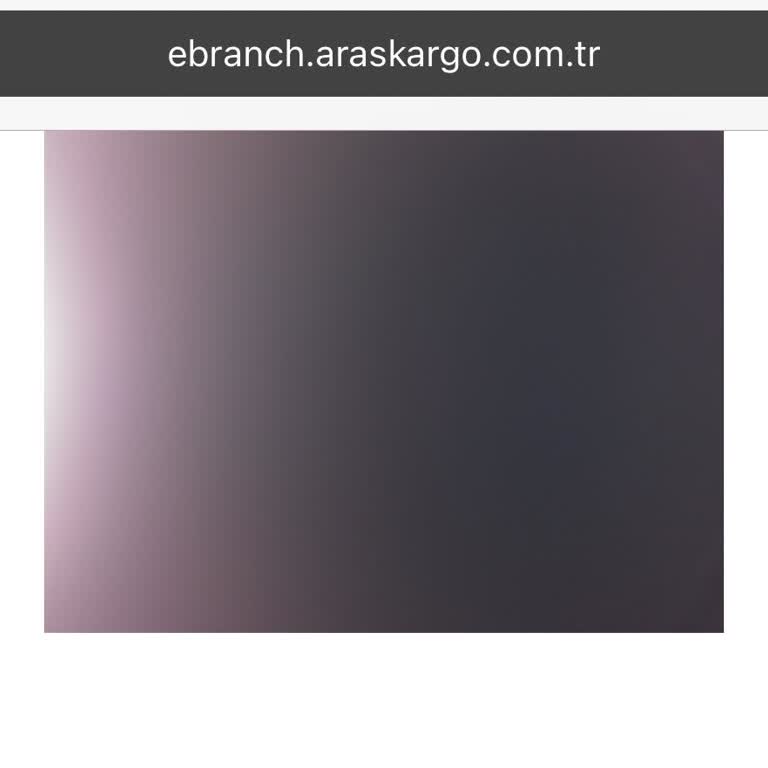 Teslim Edilmeyen Kargo İçin Yetersiz Bilgilendirme Ve Çözüm Eksikliği