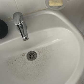 Burcu Temizlik (Aydın) Aldığım Temizlik Hizmeti Tam Bir Hayal Kırıklığıydı