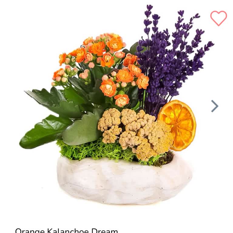 Sipariş Görselinden Farklı Ürün Ve Müşteri Hizmetlerinden Çözüm Alamadım