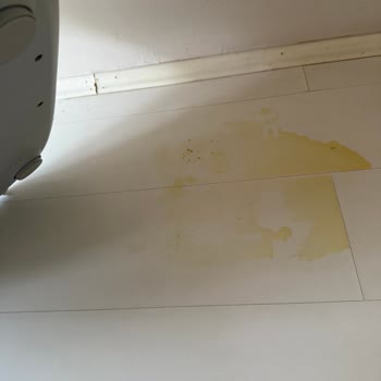 Kameralı Kedi Tuvaleti Kum Sızdırıyor, İade Talebim Reddedildi