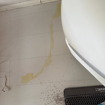 Kameralı Kedi Tuvaleti Kum Sızdırıyor, İade Talebim Reddedildi