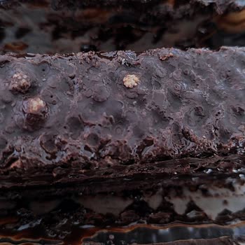 Bozuk Çikolata Satışı Nedeniyle Çocuk Sağlığı Tehlikeye Girdi