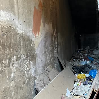 Pendik Çamçeşme'de Çöp Yığını Ve Sağlık Tehlikesi: Acil Temizlik Ve İlaçlama Talebi