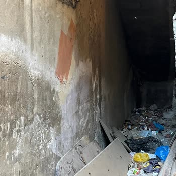 Pendik Çamçeşme'de Çöp Yığını Ve Sağlık Tehlikesi: Acil Temizlik Ve İlaçlama Talebi