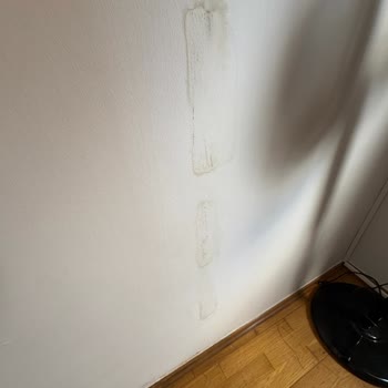 Baymak Yetkili Servis Hatası Sonucu Parkelerde Oluşan Zararın Giderilmemesi Ve Mağduriyet