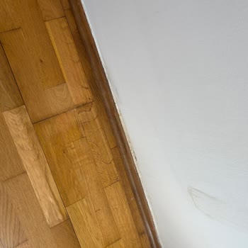 Baymak Yetkili Servis Hatası Sonucu Parkelerde Oluşan Zararın Giderilmemesi Ve Mağduriyet