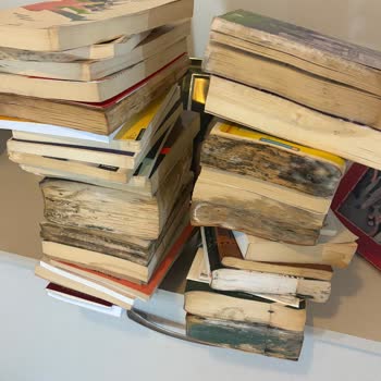 Baymak Yetkili Servis Hatası Sonucu Parkelerde Oluşan Zararın Giderilmemesi Ve Mağduriyet