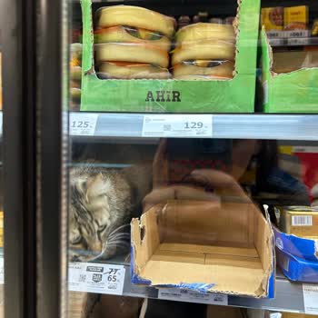 A101 Şubesinde Sürekli Hijyen Sorunu Ve Gıda Güvenliği Riski