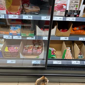 A101 Şubesinde Sürekli Hijyen Sorunu Ve Gıda Güvenliği Riski